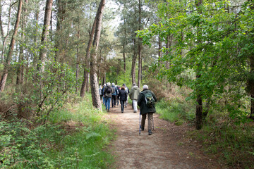 Groupe de randonneurs seniors en Bretagne
