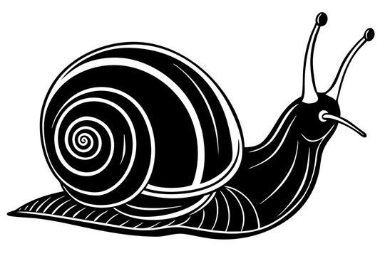 recommend clip art: snail line art vector illustration