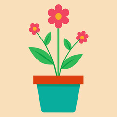 pink flower in pot