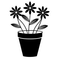flowers in a pot