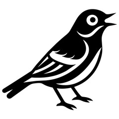 Obraz premium silhouette of a bird