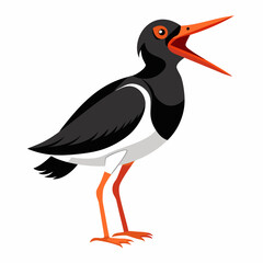Canarian Oystercatcher bird screams icon vector