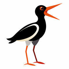 Canarian Oystercatcher bird screams icon vector
