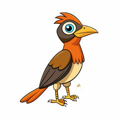 Bushshrike bird stands icon vector  illustration