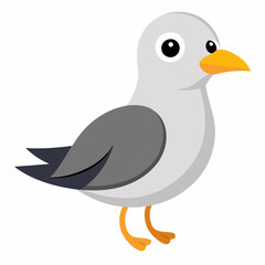 cute bird of Gull bird vector illustration,