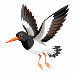 Canarian Oystercatcher bird flies vector kawaii svg file