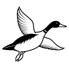 Pintail Duck flying  vector illustration svg file