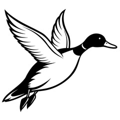 Pintail Duck flying  vector illustration svg file