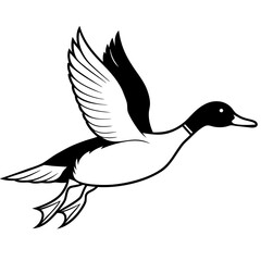 Pintail Duck flying  vector illustration svg file