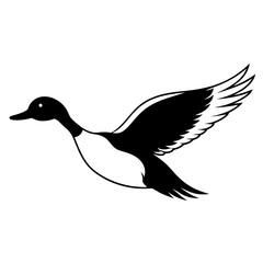 Pintail Duck flying  vector illustration svg file