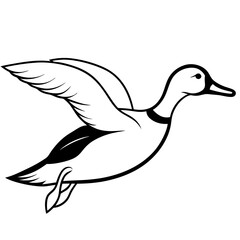 Pintail Duck flying  vector illustration svg file