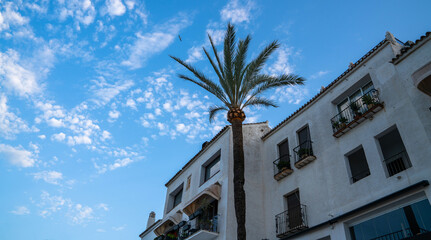 A single palm tree stands tall against a Mediterranean-style building with balconies under a sky scattered with white clouds.