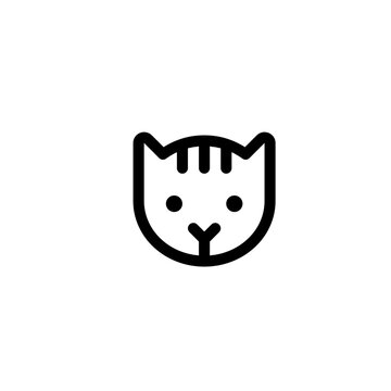 back & white cat