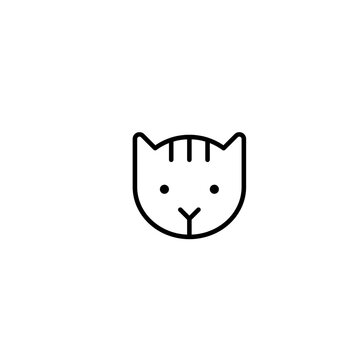 back & white cat
