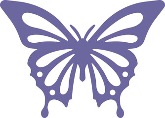 Fototapeta premium Butterfly