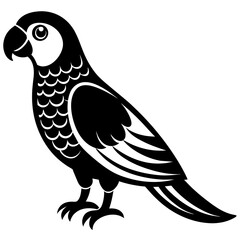 cute parrot vector illustration