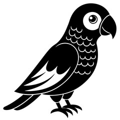 beautiful parrot