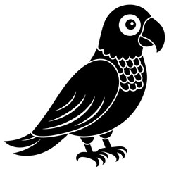 beautiful parrot on a white background