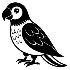 Obraz premium cute parrot vector illustration