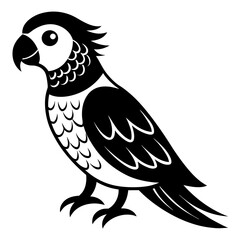 illustration of a bird