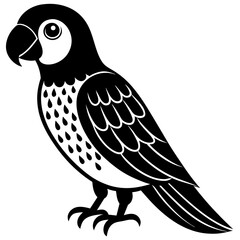 Image of a beautiful parrot