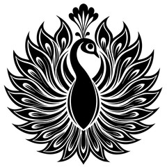 black and white peacock