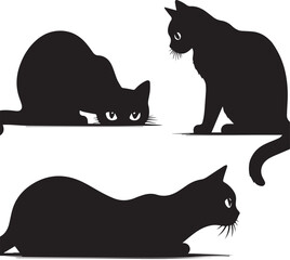 black and white cats set
