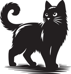 black and white cats set