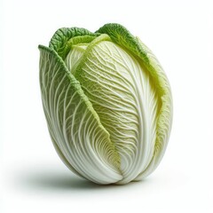 Fototapeta premium Fresh Chinese Cabbage isolated on a white background