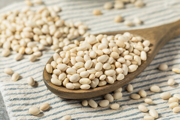 White Organic Raw Navy Beans