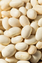 White Organic Raw Navy Beans