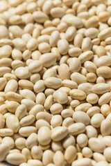 White Organic Raw Navy Beans