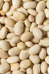 White Organic Raw Navy Beans