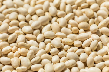 White Organic Raw Navy Beans
