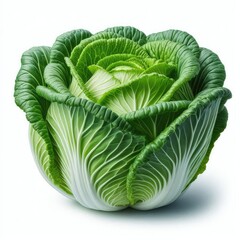 Obraz premium Fresh Chinese Cabbage isolated on a white background