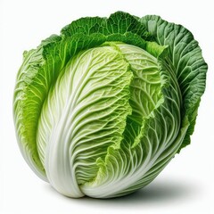 Obraz premium Fresh Chinese Cabbage isolated on a white background