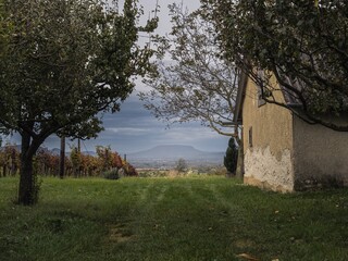 Landscape of vineyards and old building with the Badacsony mountain in the background at sunset in Hungary