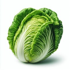 Fototapeta premium Fresh Chinese Cabbage isolated on a white background