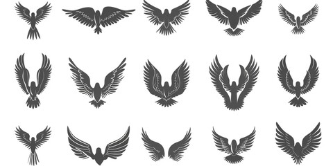 Fototapeta premium A group of birds with their wings spread out, depicted in black and white