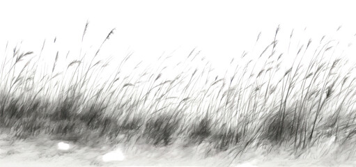 PNG  Grass field backgrounds plant tranquility.