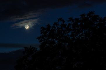 Fototapeta premium New moon in blue sky with small clouds