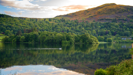 Fototapete bei efototapeten.de bestellen   