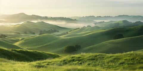 beautiful mountain views with tall grass