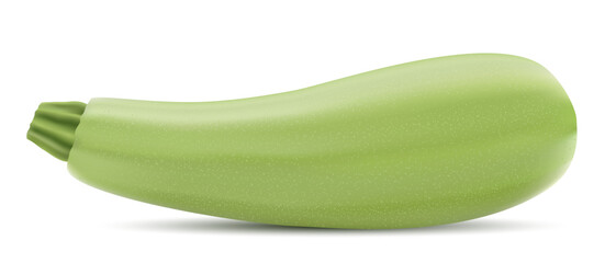 Vector drawing realistic 3d zucchini on white background.