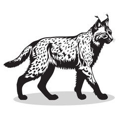 Lynx silhouettes and icons. Black flat color simple elegant white background Lynx animal vector and illustration.