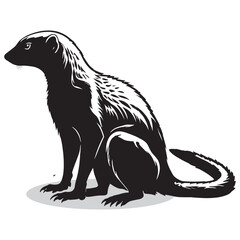 Mongoose silhouettes and icons. Black flat color simple elegant white background Mongoose animal vector and illustration.