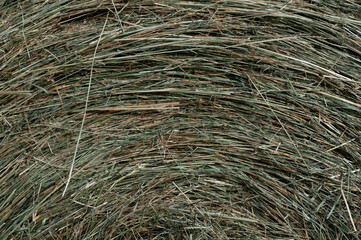 Abstract – A Close Look at the Side of a Hay Roll
