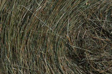 Abstract – A Close Look at the Side of a Hay Roll