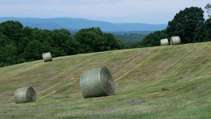 Hay Harvest in the Foothills of the Appalachian Mountains