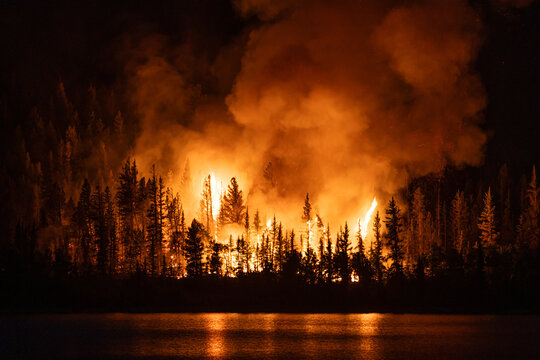 Forest fire near Interlaken, Twin Lakes, Colorado. 